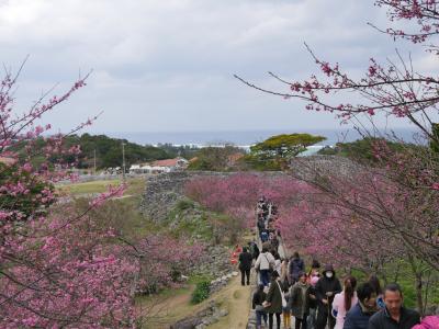 日本の南国に魅せられて。第２弾その2：沖縄本島・名護を中心に、ドライブ・観光・シーサー自作体験・グルメで一日中沖縄を満喫するぞの編。