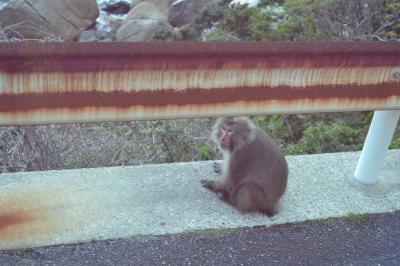 海抜０から始まる自然の驚異