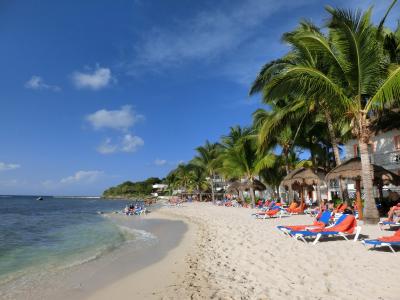 カリブ海に沈むキリスト像・マリア像再会への旅（その１）