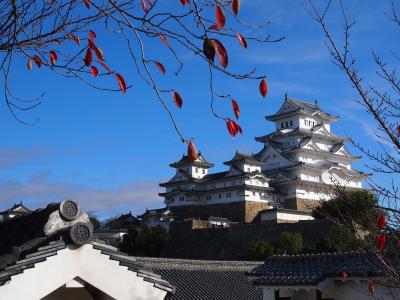 初の姫路、大阪は２回目、京都は何回目？　行ってきました秋の関西旅行　その２