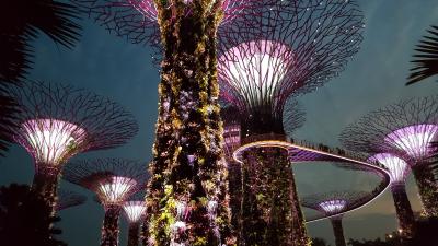 植物園と光のショーのシンガポール　前半
