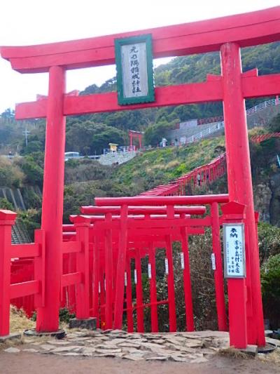 2017年2月　萩旅行（元乃隅稲荷・萩一輪・須佐男命イカ・ホルンフェルス・猫寺　雲林寺・）