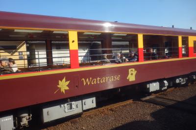 ぐんまワンデー世界遺産パスの旅後半 わたらせ編