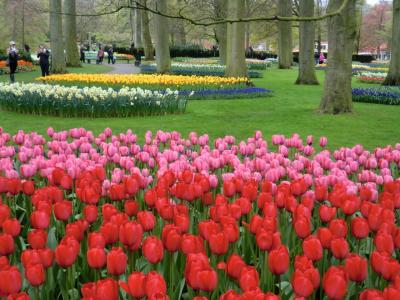 チューリップが満開のオランダ・ベルギーへ　①　（モダーヴ城、デュルビュイ、グランビカール城、ブリュッセル）