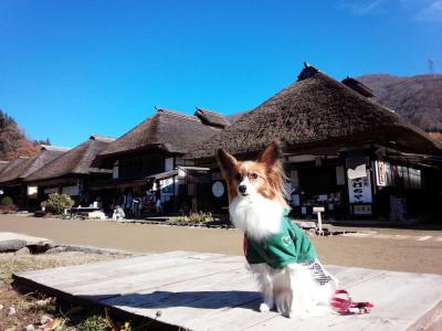 わんこのお誕生日旅行は福島へ