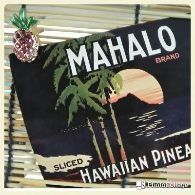 身内5人水入らずでハワイツアー⑥旅をふりかえって。。。