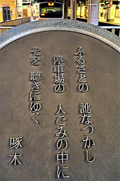 上野⇒北上　東北新幹線やまびこ43号　途中乗車　☆クラブツーリズム企画ツアーで