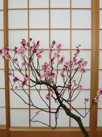 １人で歩く春の奈良☆菅原天満宮の盆梅展～朝一番で説明までしていただきましたヽ(^o^)丿