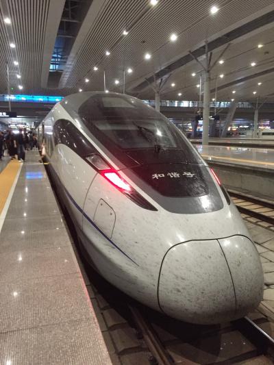ピーチで行く初中国と鉄道の旅2日目　上海鉄道旅　Part2