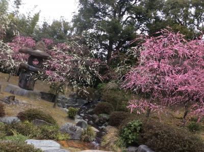 京都ここだけ街歩き！