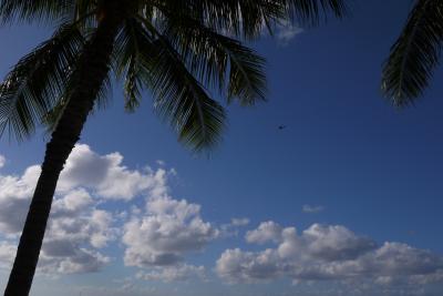 子連れハワイ　いっぱい食べて遊んで買い物した１０日間　Part7