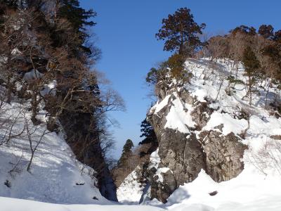 大山スノーシュー観察会  大神山神社から金門まで（2017年2月4日）