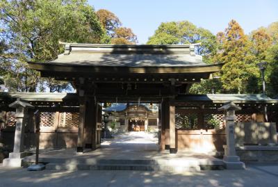 2017早春、慈眼寺と針名神社(4/4)：針名神社(2)：境内社、針名稲荷社、杉のご神木、神門