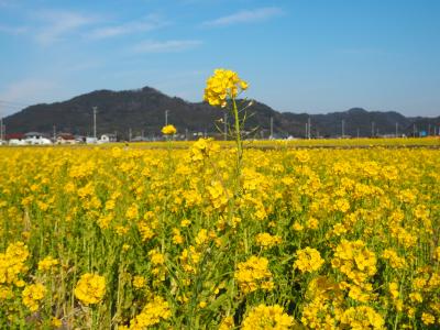 母と房総半島へ