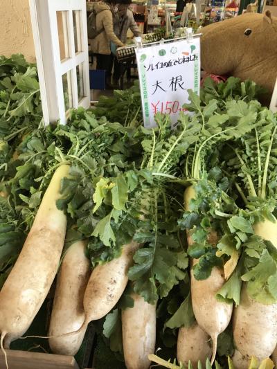 三世代で三浦半島へ