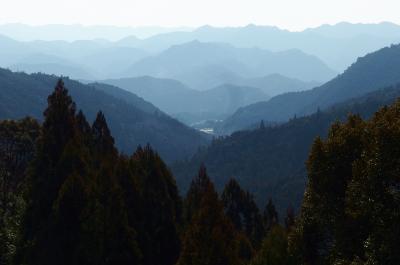 早春の熊野古道を歩く♪　発心門王子～水呑王子～伏拝王子～熊野本宮大社　２日目