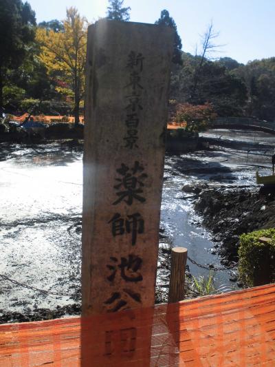 薬師池公園の紅葉