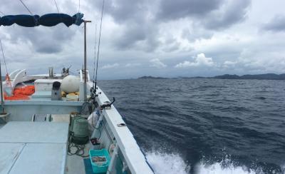 南の魚に感謝感激