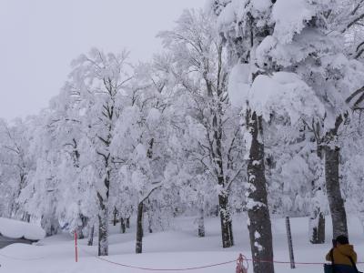 はじめての山形（蔵王編）