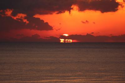 小さい春を探して週末プチ旅行〜下田　宿　その弐〜