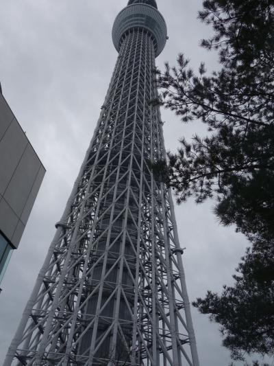 おのぼりさんが東京スカイツリーに上る。「川向こう」の田舎の観光地です。