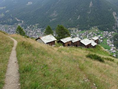 牛飼い憧れのスイス、ツェルマットの街を見下ろして（６日目午後、帰国まで）