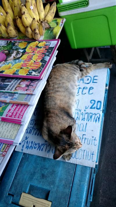 女ひとり 古都チェンマイを歩く