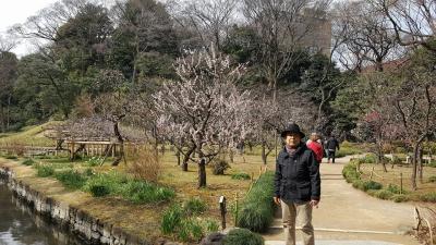小石川後楽園、さすが水戸藩の大名庭園