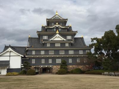 岡山城