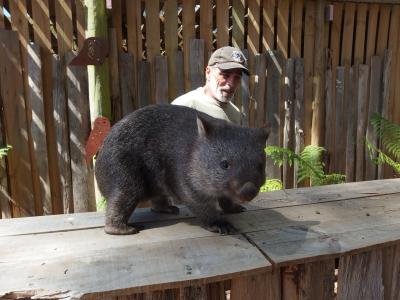 2017☆タスマニア 女ひとり旅 再び。Part.８ トロワナ動物園