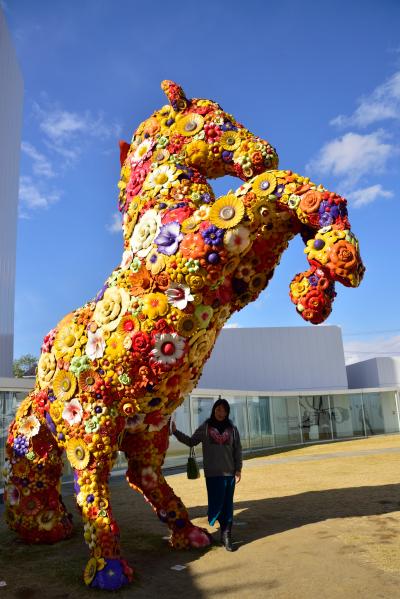 十和田市現代美術館と、鶴の舞橋を見る結婚記念日の旅 １泊２日　その１　十和田市現代美術館