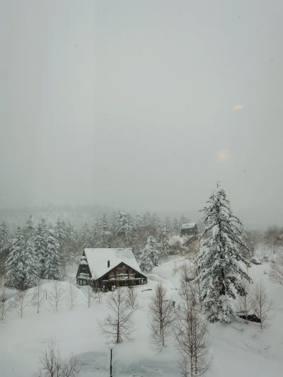 自分にご褒美☆　バスで行く=3　お気に入りの　　《ラビスタ大雪山》へ