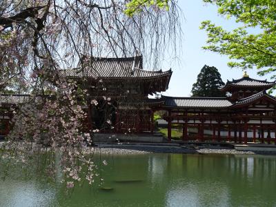 京都の世界遺産巡り　平等院・宇治上神社　