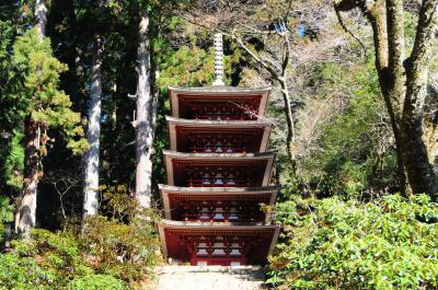 関西１dayで行く！室生寺・保津川と関空乗り鉄の旅１（室生寺編）