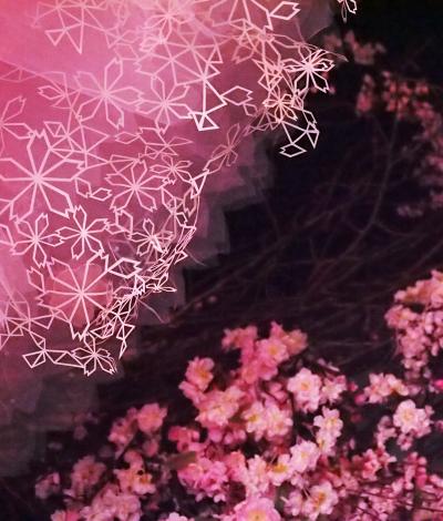 都会の秘密の花園で・・・日本一早いお花見を・・・FLOWERS by NAKED　ー立春ー