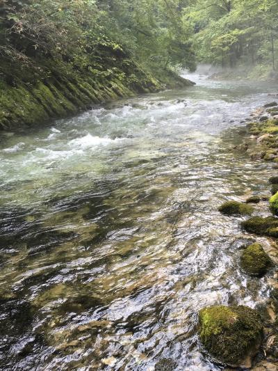16年夏休み～クロアチア周遊二週間プラスαの旅★16 ヴィントガル渓谷へ大自然の中をハイキング