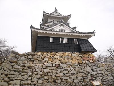 のんびりとローカル列車を乗り継ぎ、井伊直虎のお墓参りに参ります