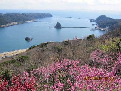 早春の伊豆下田 ひとり旅