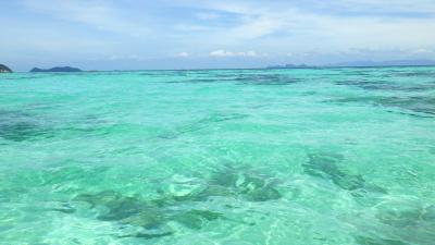 今年もリペ島＆バンコク