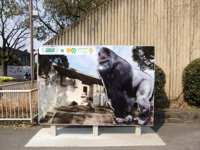 名古屋東山動物園へ
