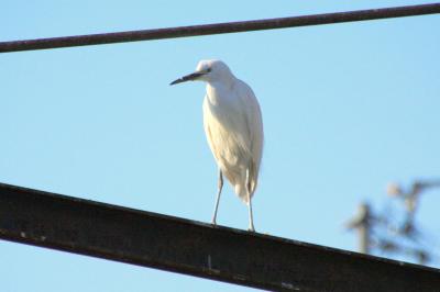 「この世界の片隅に」の面影を求めて　江波編