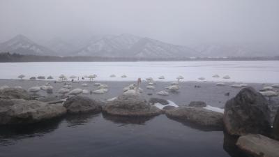 北海道（オホーツク）流氷見にいくドライブ