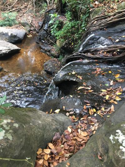 カンボジア情報[現地ツアー手配］クバルスピアンのアドベンチャーツアー