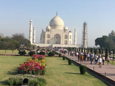 世界で最も美しいタージ・マハルを観るインド旅行