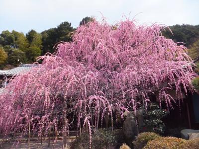 今回は特に行くあてのない1泊2日の旅行でした