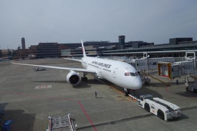 ＪＡＬパック　旅行記　魅力のスペイン周遊１０日間　１日目　成田　→　ヘルシンキ　→　マドリード