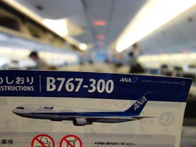 B767-300に乗りました。NGO発NRT行きのANA NH0338便です。早朝7:45発。