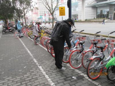 上海の貸自転車・市内に約30社が13社に減