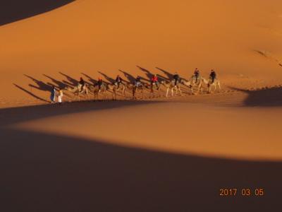 ２月２７日～３月１２日モロッコ旅行　その３　砂漠ツアー編
