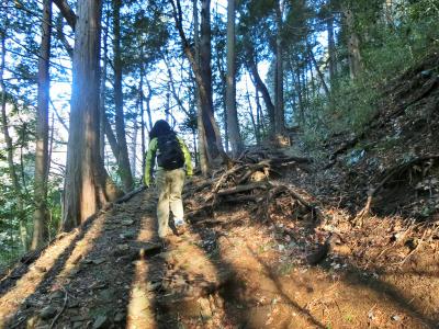 箱根へ！　箱根古道を歩きます。その１　鎌倉古道（湯坂路）へ。小涌谷ー千条の滝ー浅間山ー鷹巣山　宿泊は箱根小涌園ホテル